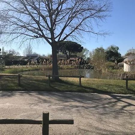 Campagne Camarguaise * Saintes-Maries-de-la-Mer